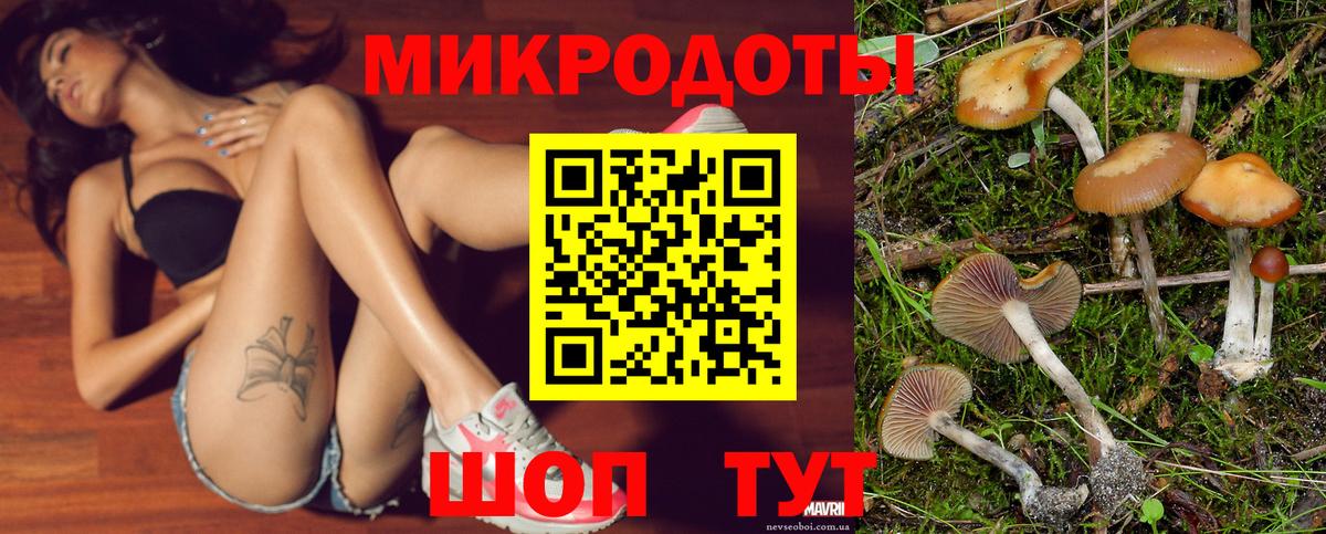 Псилоцибиновые грибы GOLDEN TEACHER Благодарный